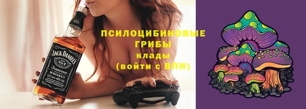 сатива Армянск