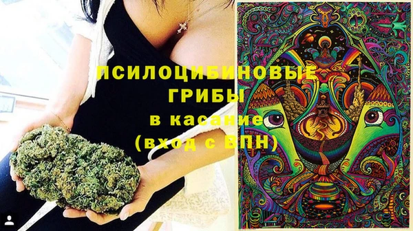ГАЛЛЮЦИНОГЕННЫЕ ГРИБЫ Аркадак