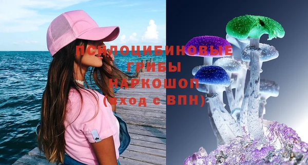 ГАЛЛЮЦИНОГЕННЫЕ ГРИБЫ Аркадак