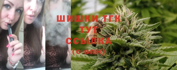крисы Арсеньев