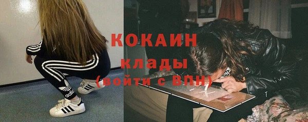 ГАЛЛЮЦИНОГЕННЫЕ ГРИБЫ Аркадак