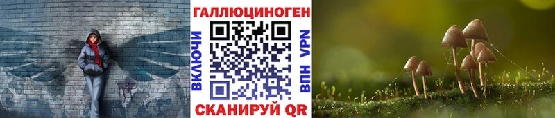 магазин  наркотиков  Нижняя Тура  Псилоцибиновые грибы ЛСД 